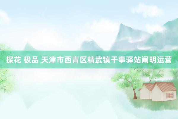 探花 极品 天津市西青区精武镇干事驿站阐明运营