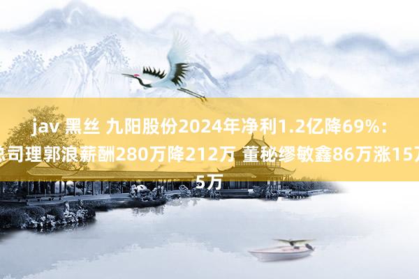 jav 黑丝 九阳股份2024年净利1.2亿降69%：总司理郭浪薪酬280万降212万 董秘缪敏鑫86万涨15万