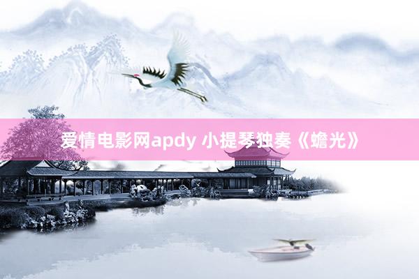 爱情电影网apdy 小提琴独奏《蟾光》
