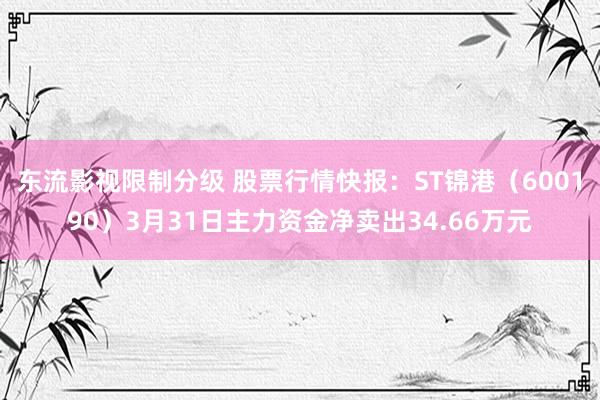 东流影视限制分级 股票行情快报：ST锦港（600190）3月31日主力资金净卖出34.66万元