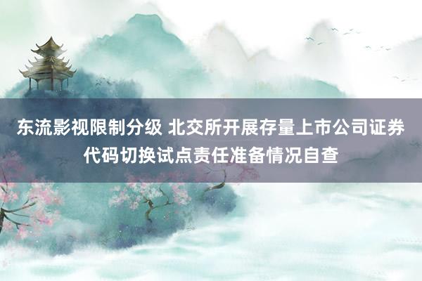 东流影视限制分级 北交所开展存量上市公司证券代码切换试点责任准备情况自查
