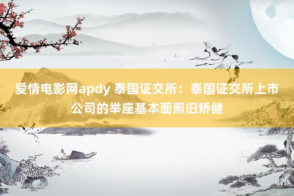 爱情电影网apdy 泰国证交所：泰国证交所上市公司的举座基本面照旧矫健