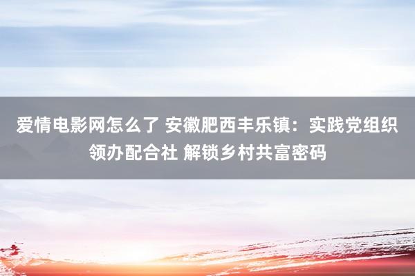 爱情电影网怎么了 安徽肥西丰乐镇：实践党组织领办配合社 解锁乡村共富密码