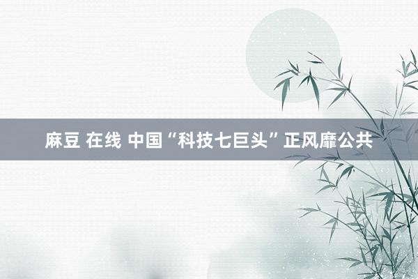 麻豆 在线 中国“科技七巨头”正风靡公共