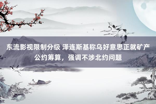 东流影视限制分级 泽连斯基称乌好意思正就矿产公约筹算，强调不涉北约问题