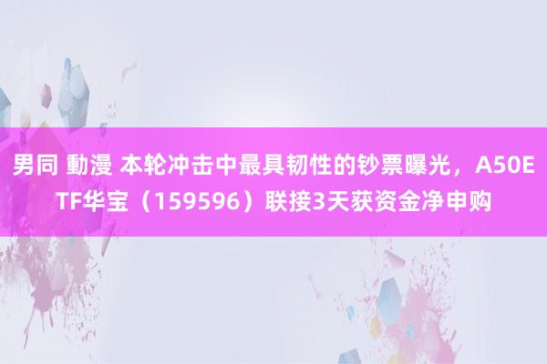 男同 動漫 本轮冲击中最具韧性的钞票曝光，A50ETF华宝（159596）联接3天获资金净申购