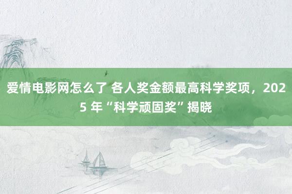 爱情电影网怎么了 各人奖金额最高科学奖项，2025 年“科学顽固奖”揭晓