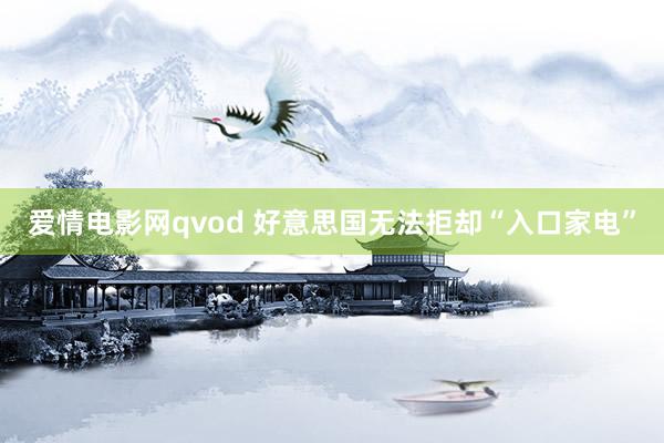爱情电影网qvod 好意思国无法拒却“入口家电”