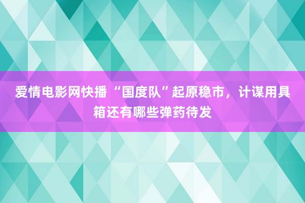 爱情电影网快播 “国度队”起原稳市，计谋用具箱还有哪些弹药待发