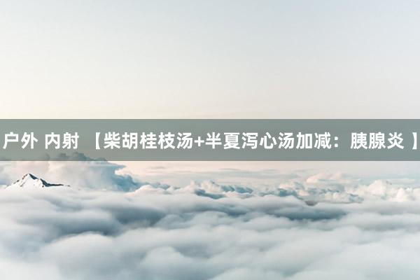 户外 内射 【柴胡桂枝汤+半夏泻心汤加减：胰腺炎 】