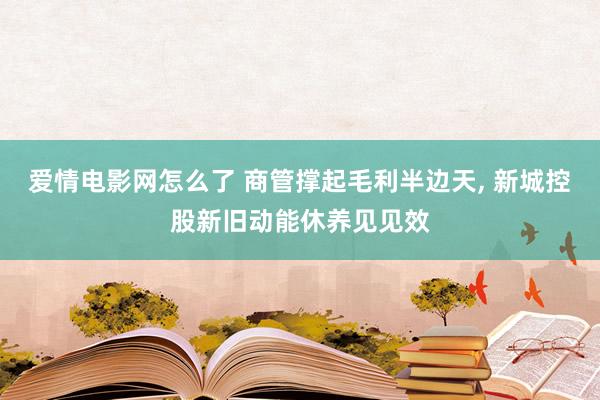 爱情电影网怎么了 商管撑起毛利半边天, 新城控股新旧动能休养见见效