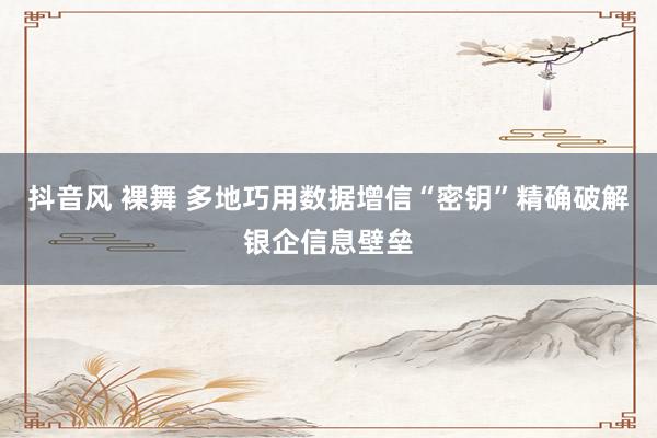 抖音风 裸舞 多地巧用数据增信“密钥”精确破解银企信息壁垒