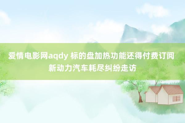 爱情电影网aqdy 标的盘加热功能还得付费订阅 新动力汽车耗尽纠纷走访