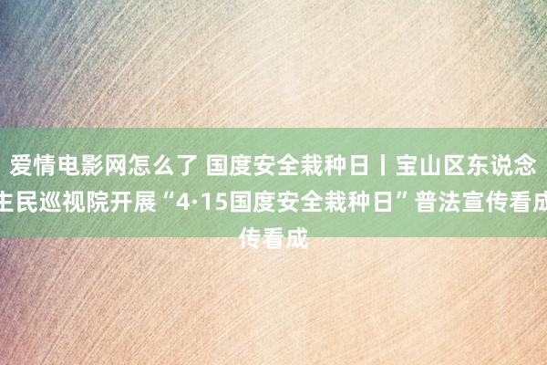 爱情电影网怎么了 国度安全栽种日丨宝山区东说念主民巡视院开展“4·15国度安全栽种日”普法宣传看成