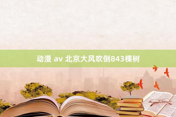 动漫 av 北京大风吹倒843棵树