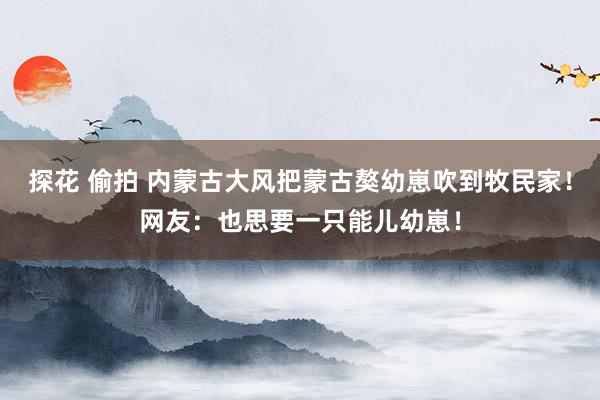 探花 偷拍 内蒙古大风把蒙古獒幼崽吹到牧民家！网友：也思要一只能儿幼崽！