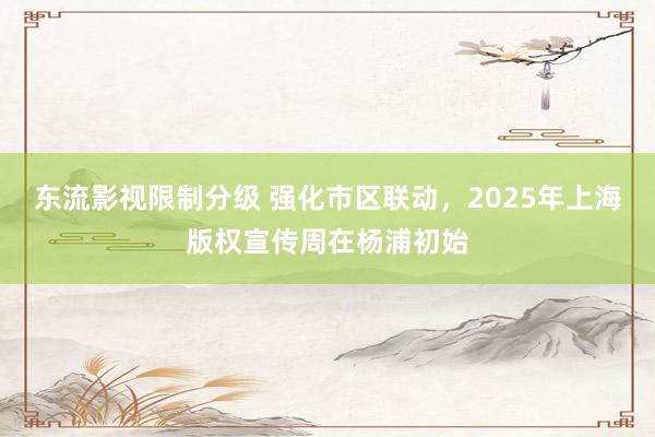 东流影视限制分级 强化市区联动，2025年上海版权宣传周在杨浦初始