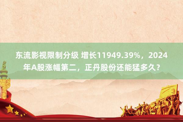 东流影视限制分级 增长11949.39%，2024年A股涨幅第二，正丹股份还能猛多久？