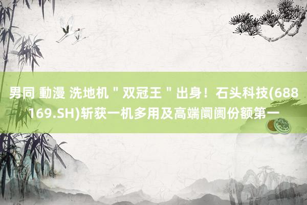 男同 動漫 洗地机＂双冠王＂出身！石头科技(688169.SH)斩获一机多用及高端阛阓份额第一