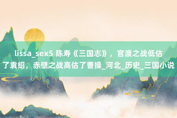lissa_sex5 陈寿《三国志》，官渡之战低估了袁绍，赤壁之战高估了曹操_河北_历史_三国小说