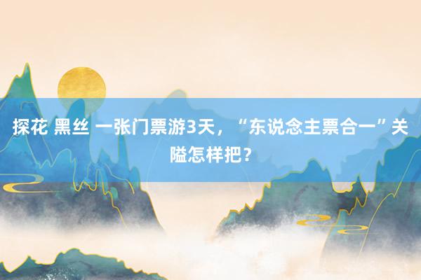 探花 黑丝 一张门票游3天，“东说念主票合一”关隘怎样把？