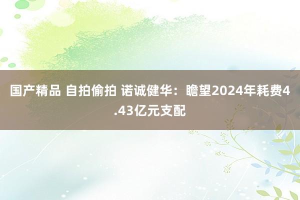 国产精品 自拍偷拍 诺诚健华：瞻望2024年耗费4.43亿元支配