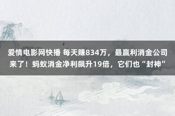 爱情电影网快播 每天赚834万，最赢利消金公司来了！蚂蚁消金净利飙升19倍，它们也“封神”