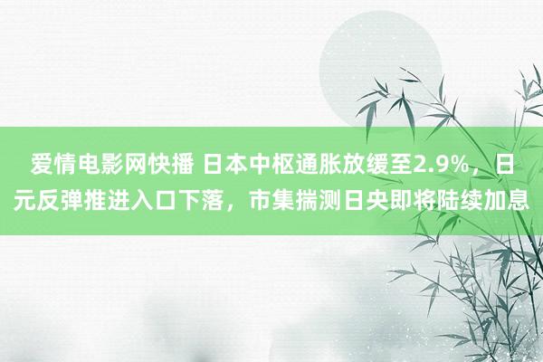 爱情电影网快播 日本中枢通胀放缓至2.9%，日元反弹推进入口下落，市集揣测日央即将陆续加息