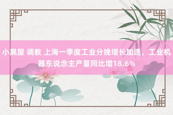 小黑屋 调教 上海一季度工业分娩增长加速，工业机器东说念主产量同比增18.6%