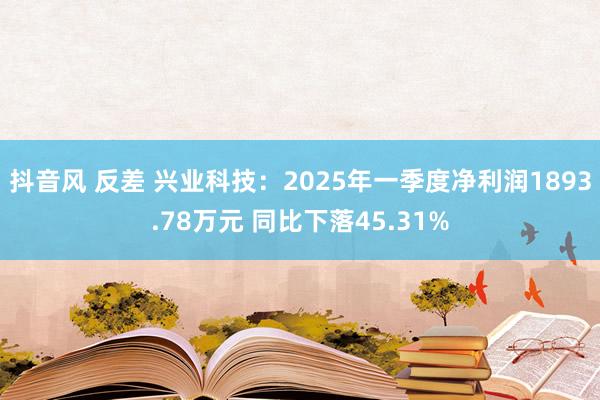 抖音风 反差 兴业科技：2025年一季度净利润1893.78万元 同比下落45.31%