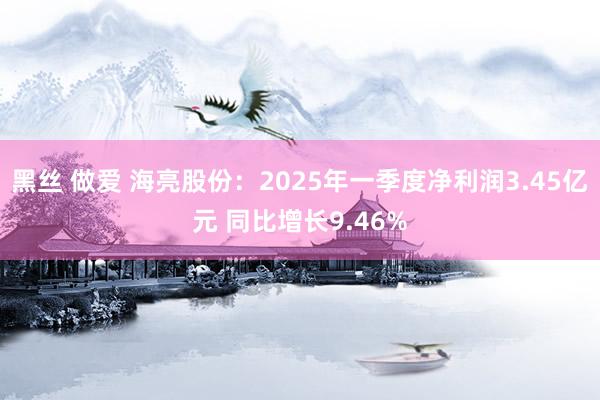 黑丝 做爱 海亮股份：2025年一季度净利润3.45亿元 同比增长9.46%