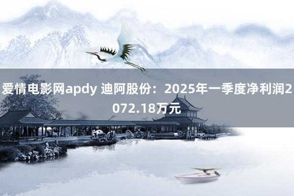 爱情电影网apdy 迪阿股份：2025年一季度净利润2072.18万元