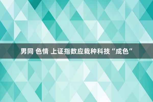 男同 色情 上证指数应栽种科技“成色”